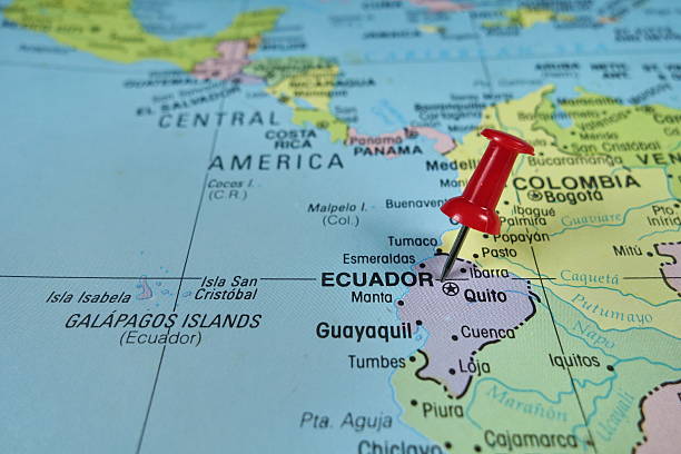 FINCA DEL DRAGON - Equatorial Dragon Fruit Farm in Ecuador